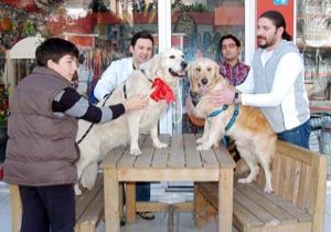 Köpeklerin 14 Şubat'ı