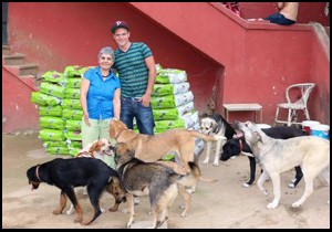 Danimarkalı dansçıdan sokak köpeklerine mama yardımı