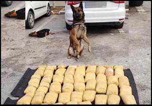 Narkotik köpeği 'Ben'in zafer pozu