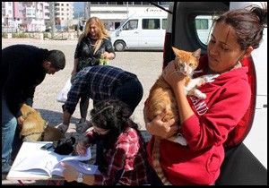 Kedi ve köpeklere kuduz aşısı