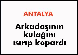 Arkadaşının kulağını ısırıp kopardı