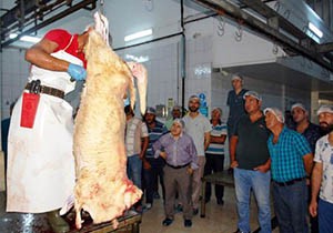 HEM'de uygulamalı kurban kesim kursu