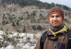 Kurt azalınca, yaban domuzu arttı