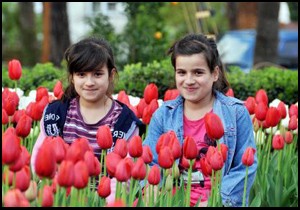 Alanya rengarenk çiçek açtı