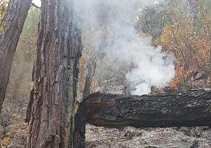 Kemer'de dağlık alanda yangın
