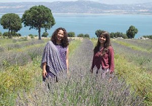 Fakir Baykurt'un köyünde lavanta turizmi