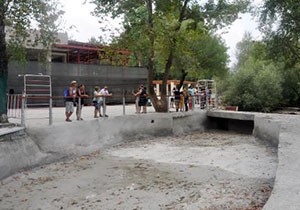 Manavgat Şelalesi'nde turistleri şaşırtan görüntü