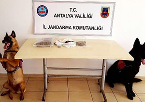 Manavgat'ta uyuşturucu operasyonu
