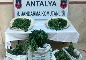 Manavgat'ta uyuşturucu şebekesi çökertildi