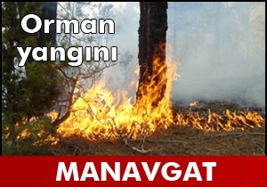 Manavgat'ta orman yangını