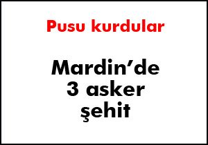 2 astsubay ve 1 uzman çavuş şehit düştü