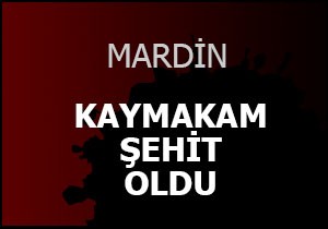 Kaymakam şehit oldu
