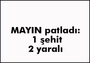 Mayın patladı: 1 şehit, 2 yaralı