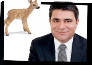 Geyik vurulmamış korkudan ölmüş