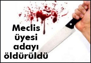 Meclis üyesi adayını damadı öldürdü