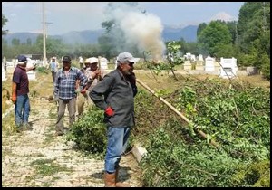 Belediye yapmayınca mezarlığı kendileri temizledi