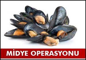 Midyecilere ortak operasyon