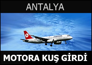 Antalya uçağı tehlike atlattı