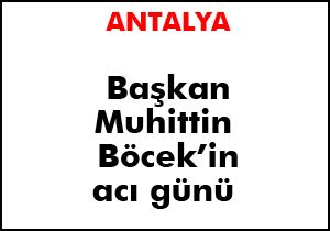 Böcek, annesine en çok benzeyen teyzesini kaybetti