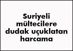 Suriyeli mültecilere 400 milyon harcanmış