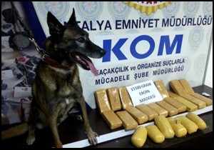Uyuşturucuyla yakalanan şüphelilerden çobanlık savunması