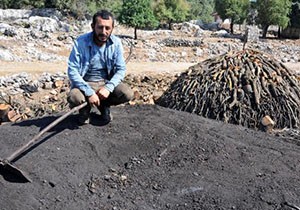 Odunu kömüre dönüştürerek ekmek parası kazanıyorlar
