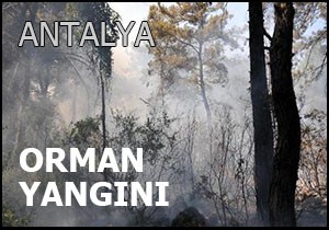 Antalya da orman yangını