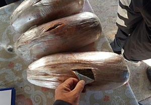 Manavgat'ta uyuşturucu operasyonu