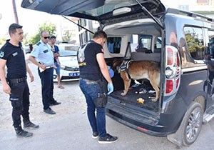 Antalya'da uyuşturucu operasyonu