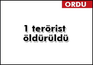 Ordu’da bir terörist öldürüldü