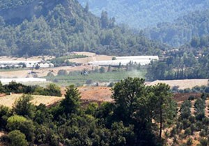 Antalya'da 150 hektarlık ormanlık alan yandı