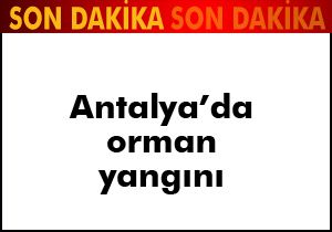 Antalya'da orman yangını