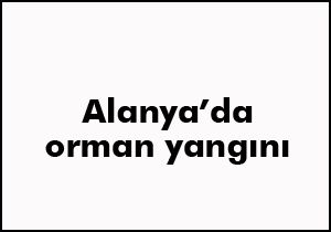 Alanya'da orman yangını