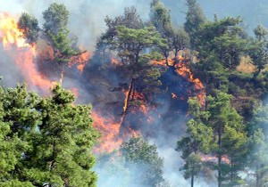 Antalya'da girilmesi yasak 27 orman