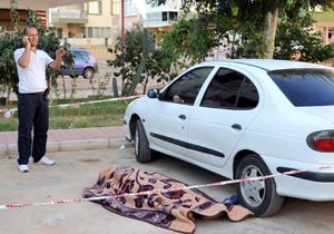 Otomobiline binerken düşüp öldü