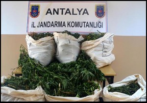 Jandarmadan uyuşturucu operasyonu