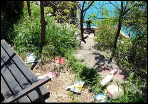 Kuğulu Park'ta çözüm yok