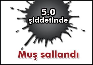 Muş'ta 5.0 şiddetinde deprem