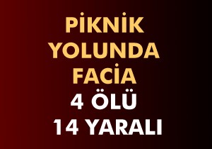 Piknik faciayla sonuçlandı: 4 ölü, 14 yaralı