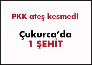 Çukurca'da bir akser şehit