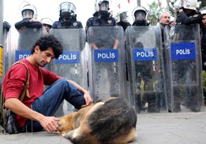 Köpeği sevdi soruşturma geçiriyor