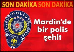 Mardin'de polis aracı devrildi: Bir şehit
