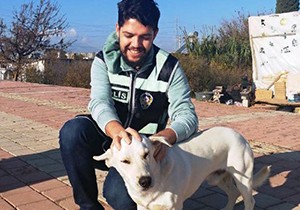 Polisin kurtardığı köpek, sağlığına kavuştu
