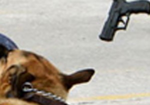 Polise sopalı köpekli saldırı