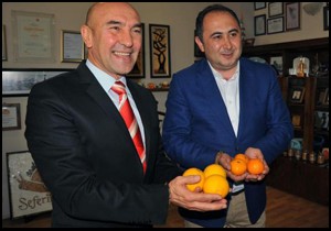 Finike portakalı, Seferihisar mandalinasını örnek alacak