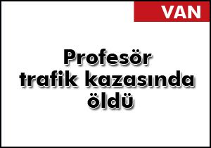 Profesör trafik kazasında öldü