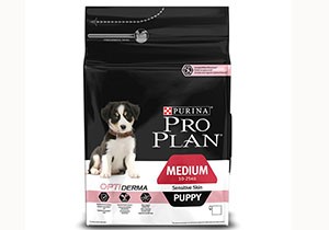 Köpeğiniz İçin En İdeal Kuru ve Yaş Mama Çeşitleri Petzimo.com'da