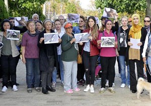 Antalya'da kedi ölümleri protestosu