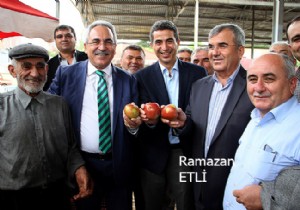 Antalya Büyükşehir'de görevden alma ve atama
