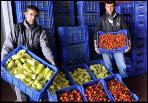 Demre ve kumluca'da ruble korkusu